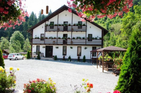 Casa Ursului
